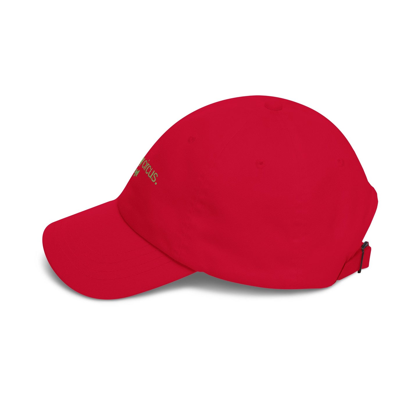 Not My Circus Dad Cap — Minimal Embroidered White Baseball Hat